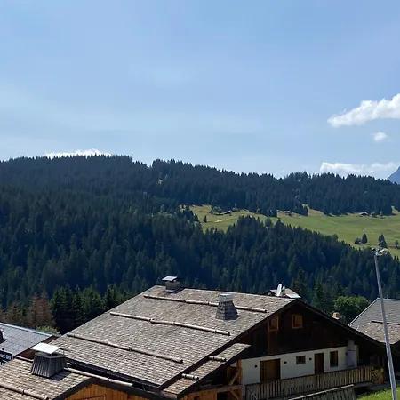 Apartment Studio En Montagne